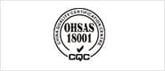 Leoch OHSAS 18001 certification