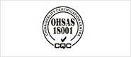 Leoch OHSAS 18001 certification